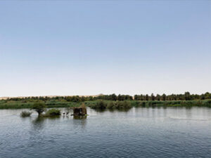 During the Nile cruise, you see green banks teeming with life and activity."