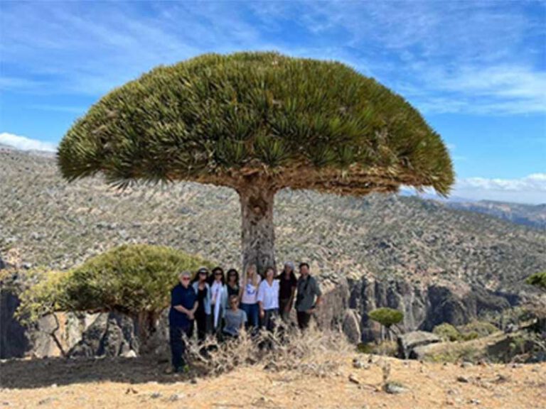 A tour group seeks shade under a dragon's blood tree in Socotra and poses for a souvenir photo after a hike through green landscapes