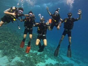 Diving spot with Sharks – a group of divers are underwater and signal their well-being.