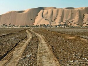 A wide track leads over earthy ground towards massive sand dunes, at the base of which the last of the vegetation still grows.