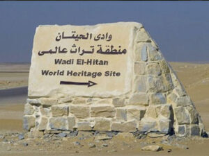 Signpost to Wadi El Hitan – World Heritage Site with clear directions