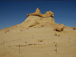 Single fossil site in Wadi El HItan, demarcated in a circle