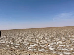 Vast expanse of the Umm Al Samim salt flats in the Empty Quarter desert, Oman, under a clear blue sky