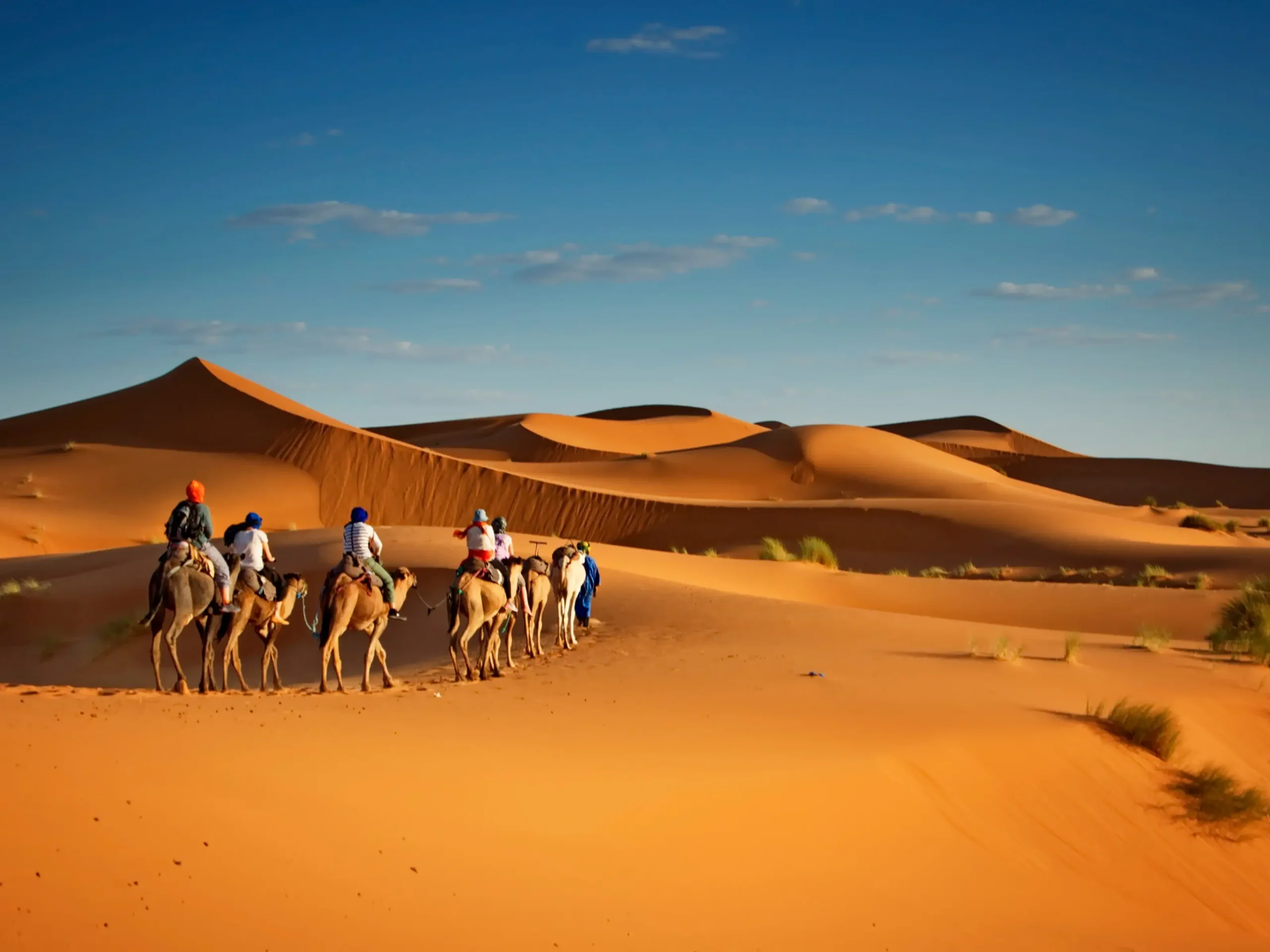 Dessert with camels with riders travelling together in a pack under blue sky and scorching heat