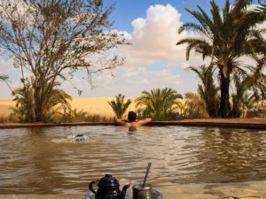 A natural pool with bathers in the Siwa oasis, surrounded by palm trees. In the background sand dunes and blue sky with some clouds.